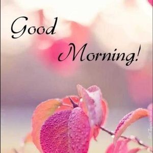 Meet your Posher, Navneet